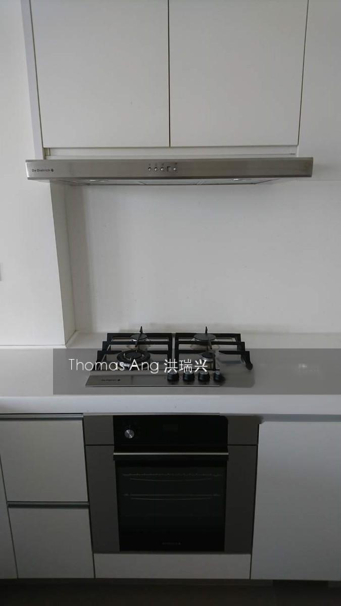 Fifteen Robin (D10), Condominium #152089052